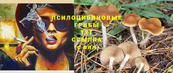 первитин Бородино