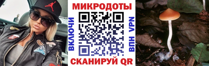 где продают наркотики  Называевск  Галлюциногенные грибы Psilocybine cubensis 